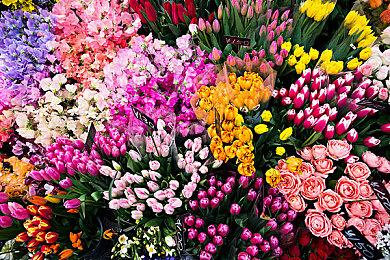 重走西游 《黑神话：悟空》今日全球正式发布